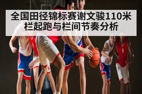 全国田径锦标赛谢文骏110米栏起跑与栏间节奏分析 - c7c7
